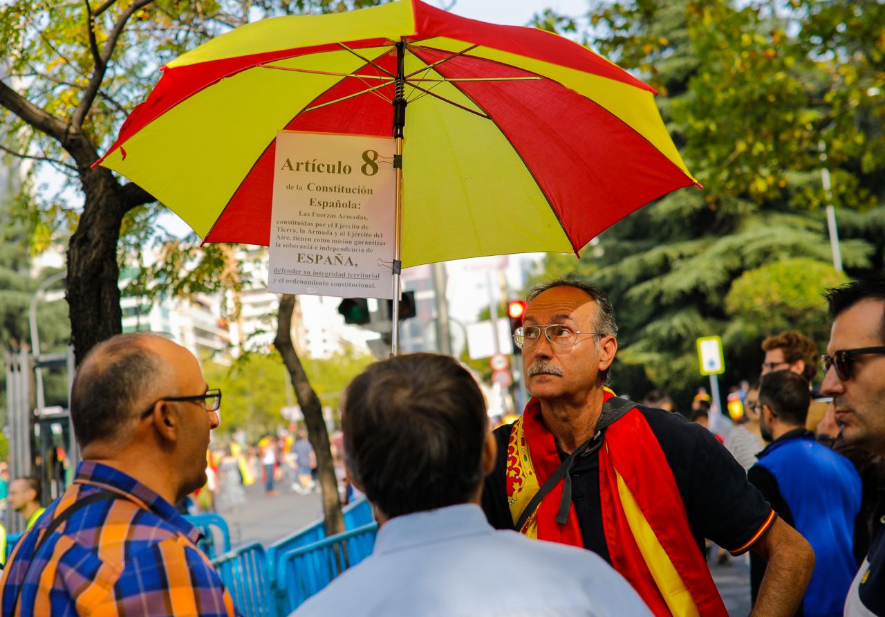 Miles de banderas de España han acompañado al público en el desfile. 