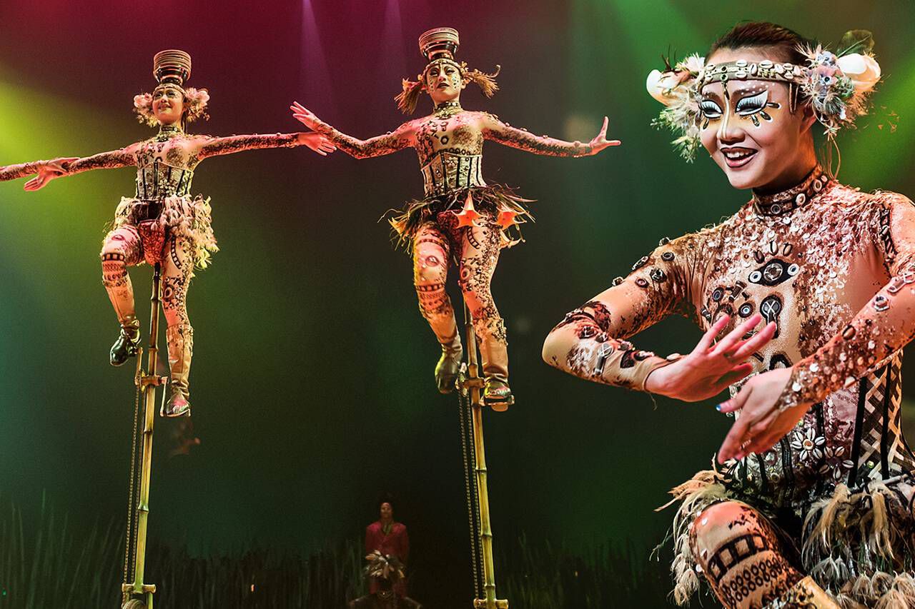 El espectáculo Totem del Circo del Sol