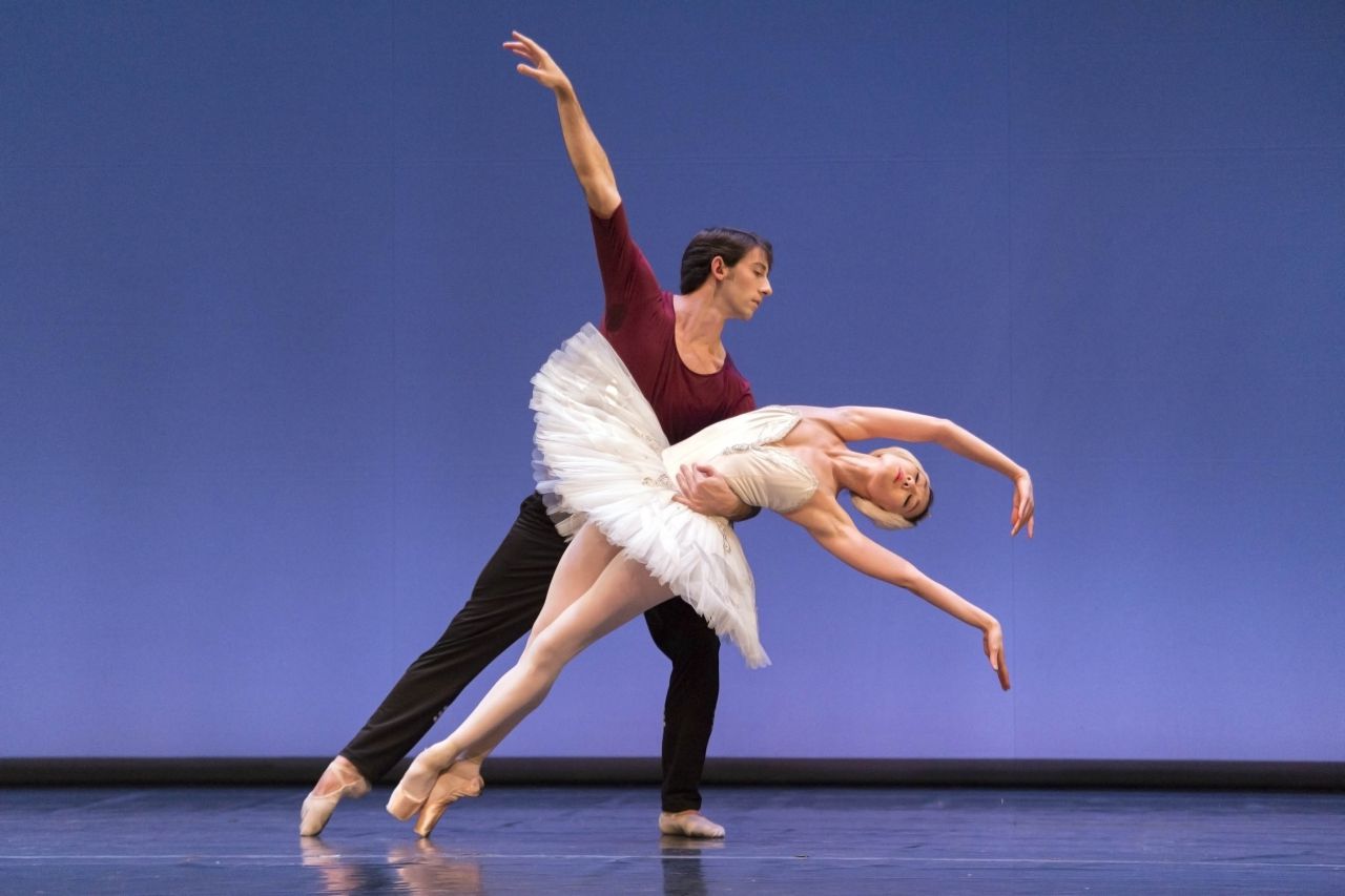 Cisne blanco
