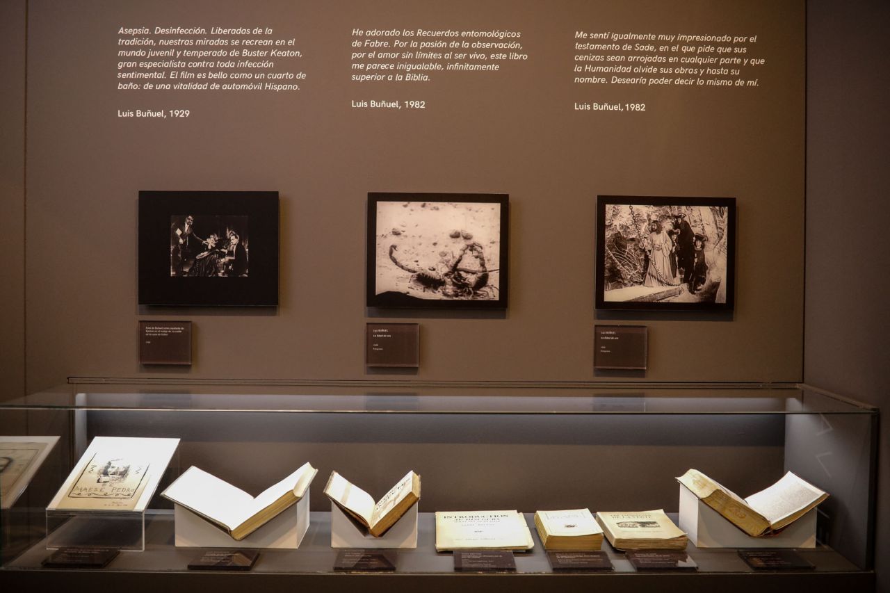 La muestra, comisariada por Amparo Martínez y José Ignacio Calvo, pone de manifiesto el enorme potencial creador de los dos aragoneses y analiza el espíritu crítico y curioso que les pemitió explporar posibilidades del arte para cuestionr la realidad de sus propios contextos históricos.
