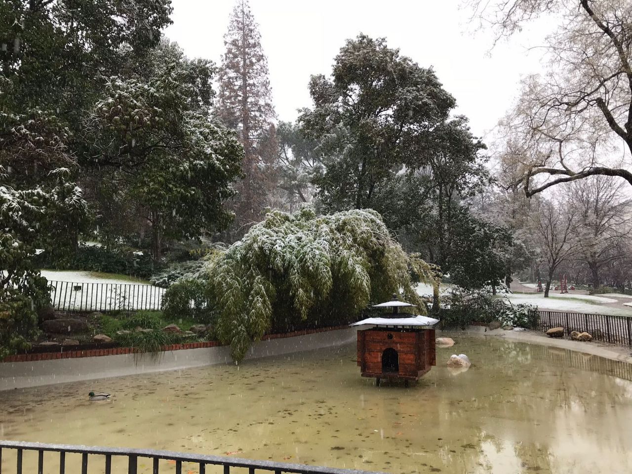 Nieve en El Retiro