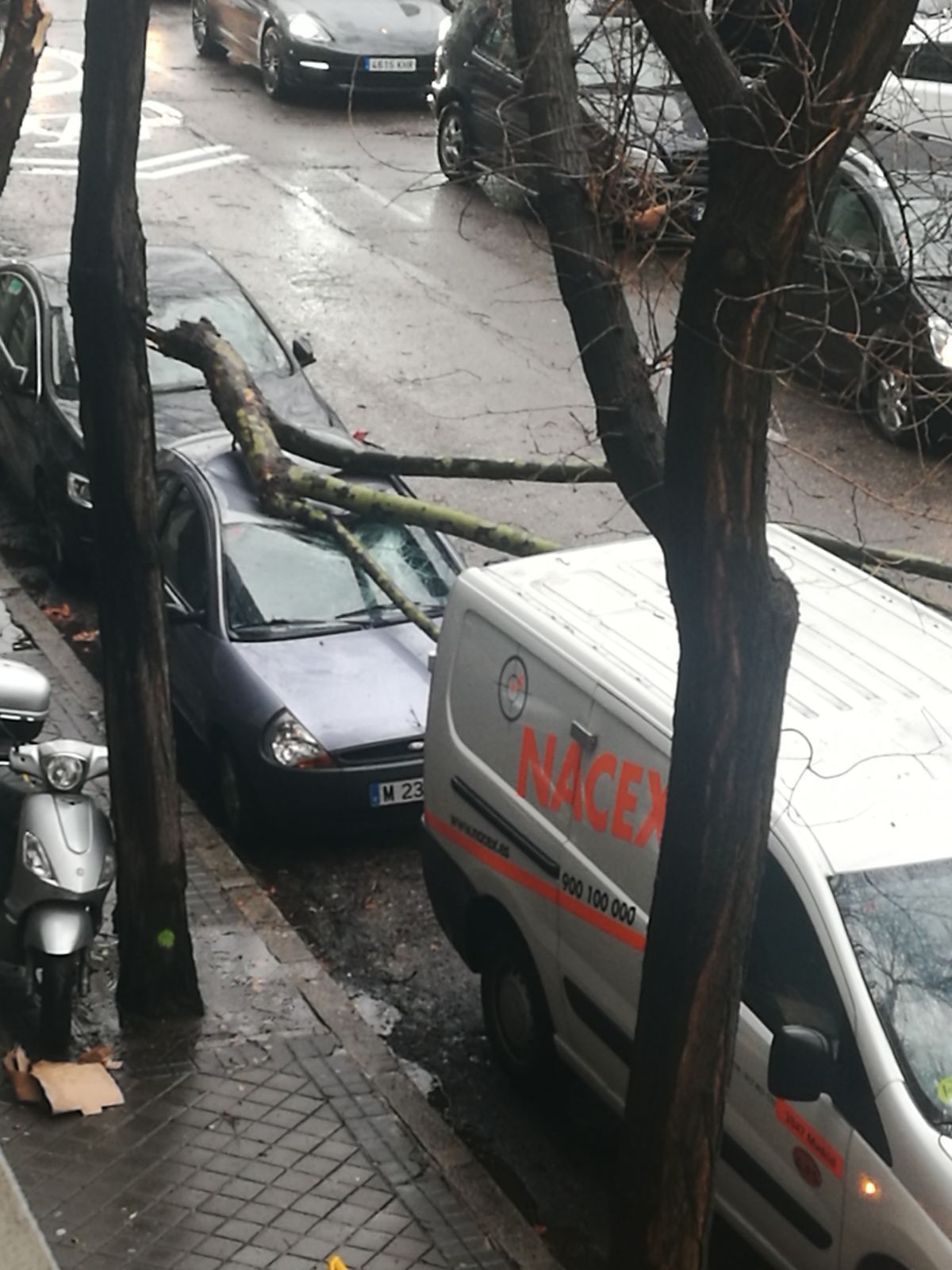 Un árbol se ha caído encima de un coche en el número 126 del Paseo de la Castellana.