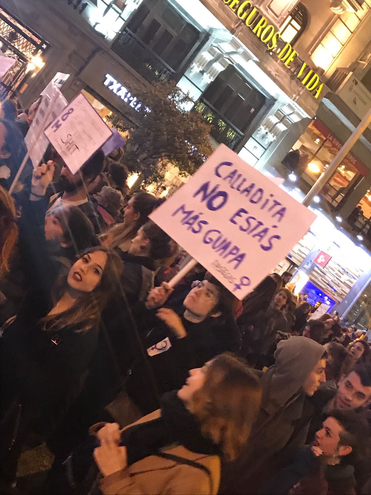 Manifestación histórica en la Gran Vía en busca de la igualdad real.