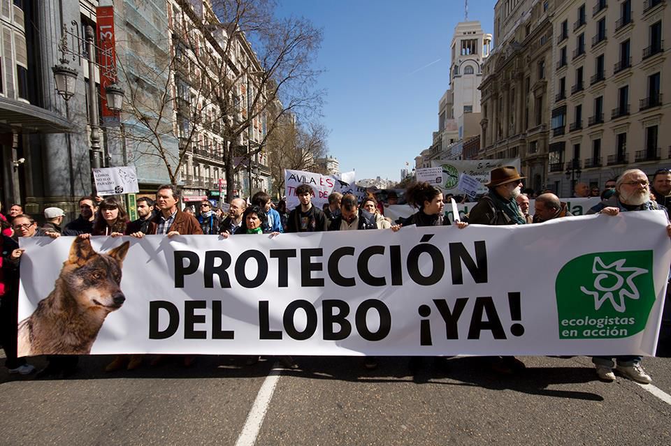 Manifestación por la protección del lobo ibérico