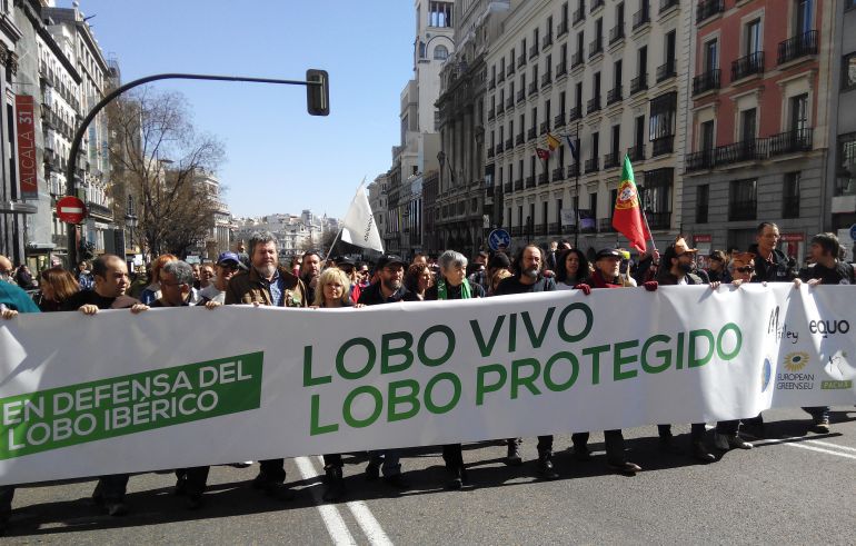 Manifestación por la protección del lobo ibérico
