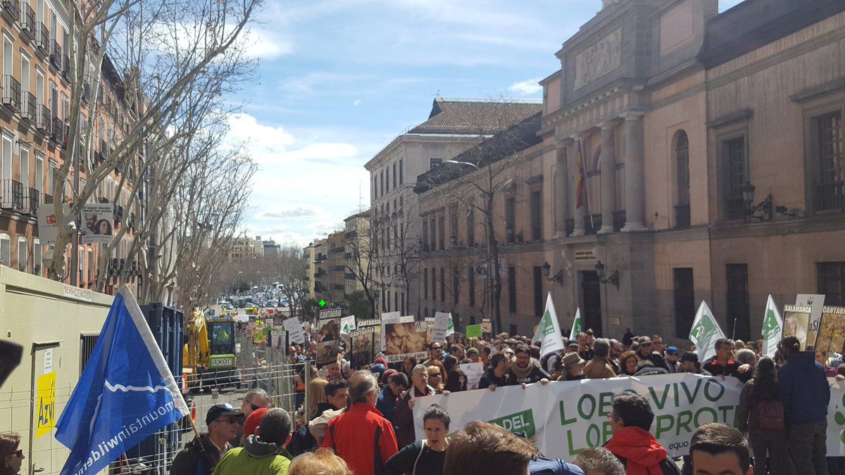 Manifestación por la protección del lobo ibérico