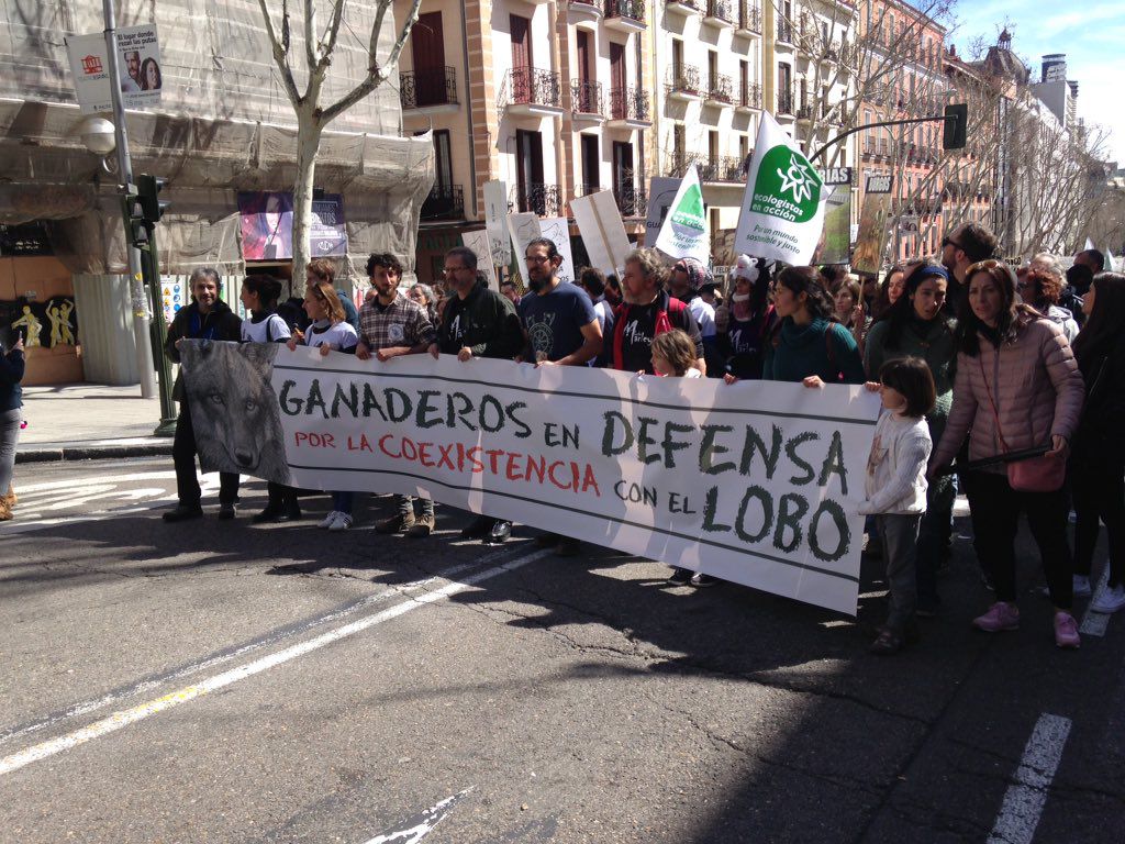 Manifestación por la protección del lobo ibérico