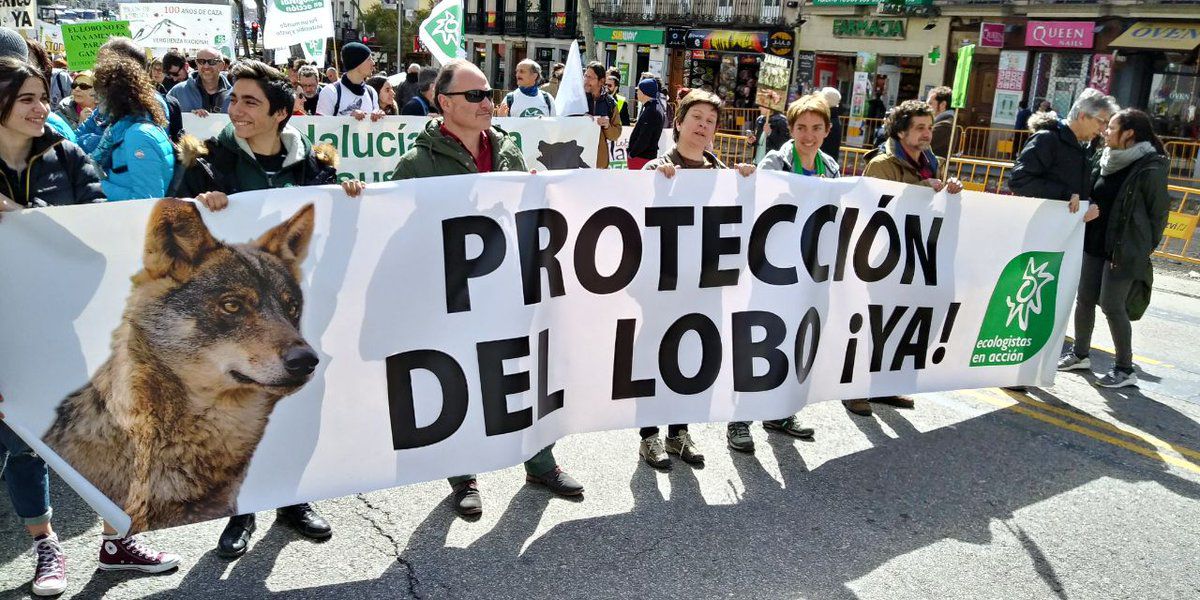 Manifestación por la protección del lobo ibérico