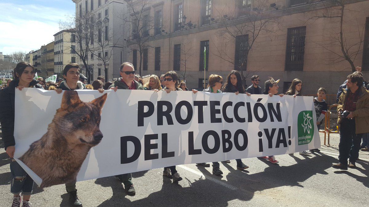 Manifestación por la protección del lobo ibérico