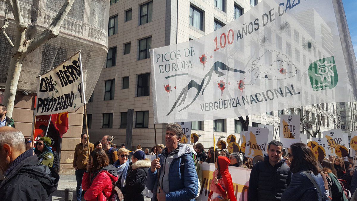 Manifestación por la protección del lobo ibérico