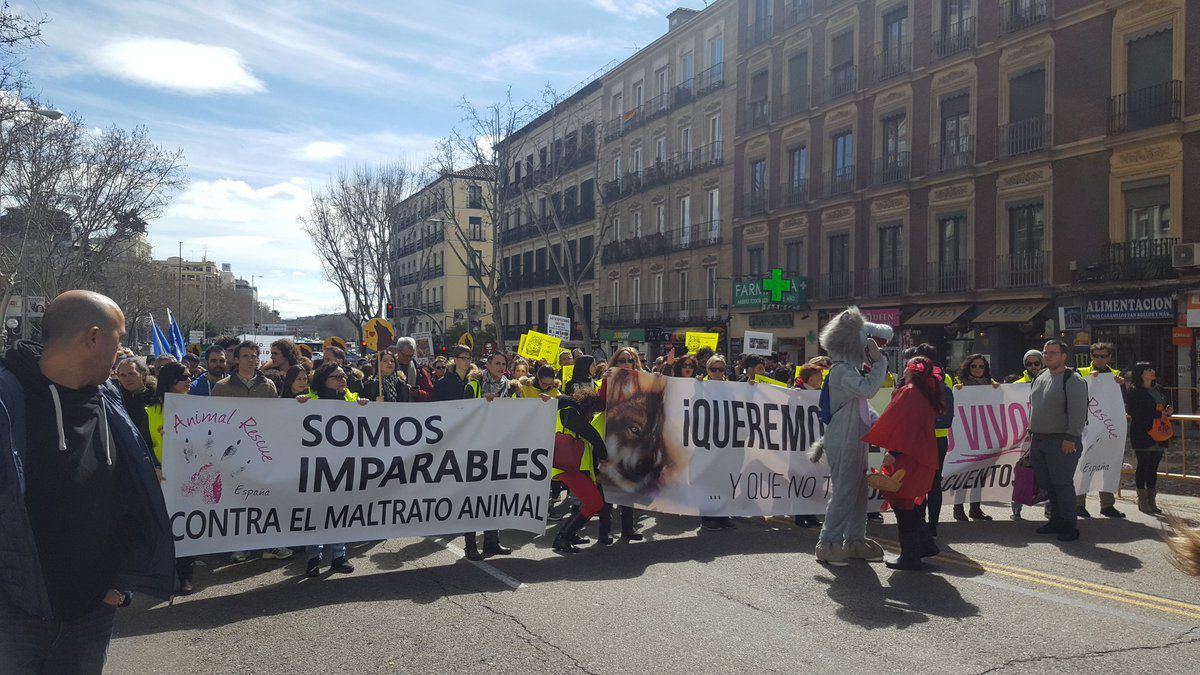 Manifestación por la protección del lobo ibérico