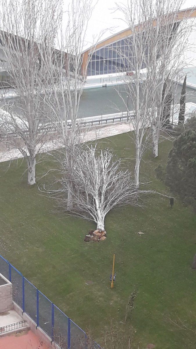 Piscina Municipal Los Cantos (Alcorcón)