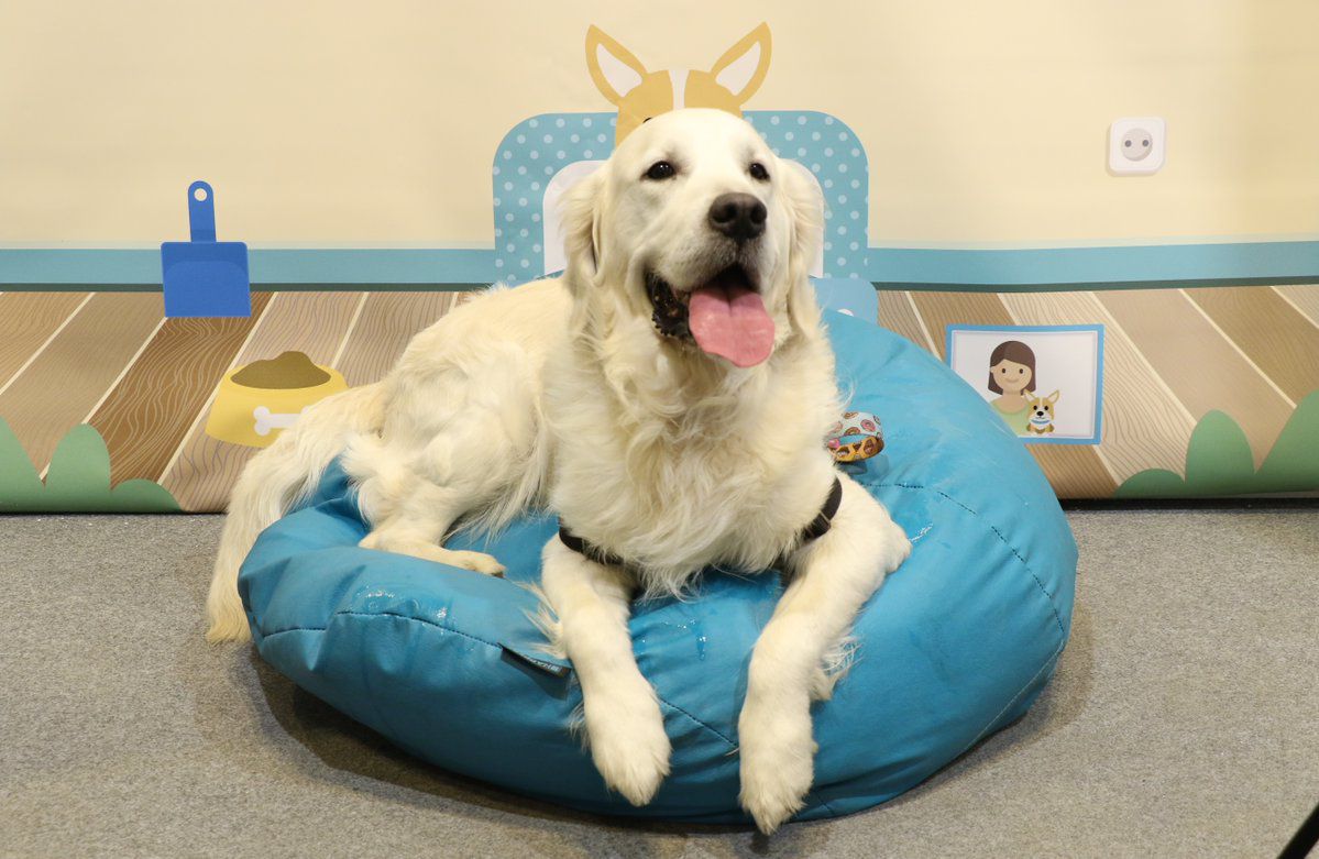 100x100 Mascota 2018, en Ifema