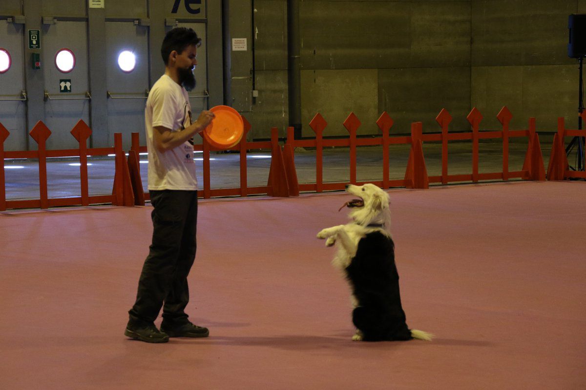 100x100 Mascota 2018, en Ifema