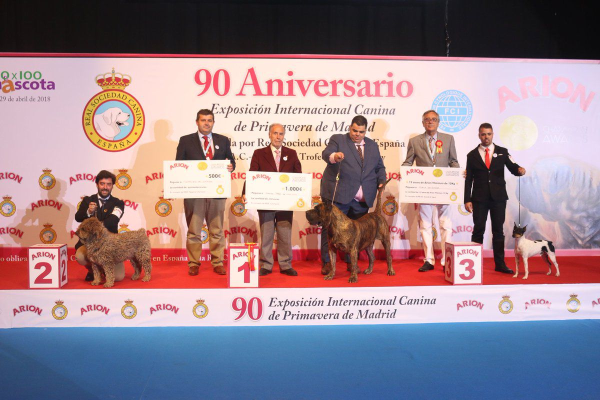 100x100 Mascota 2018, en Ifema