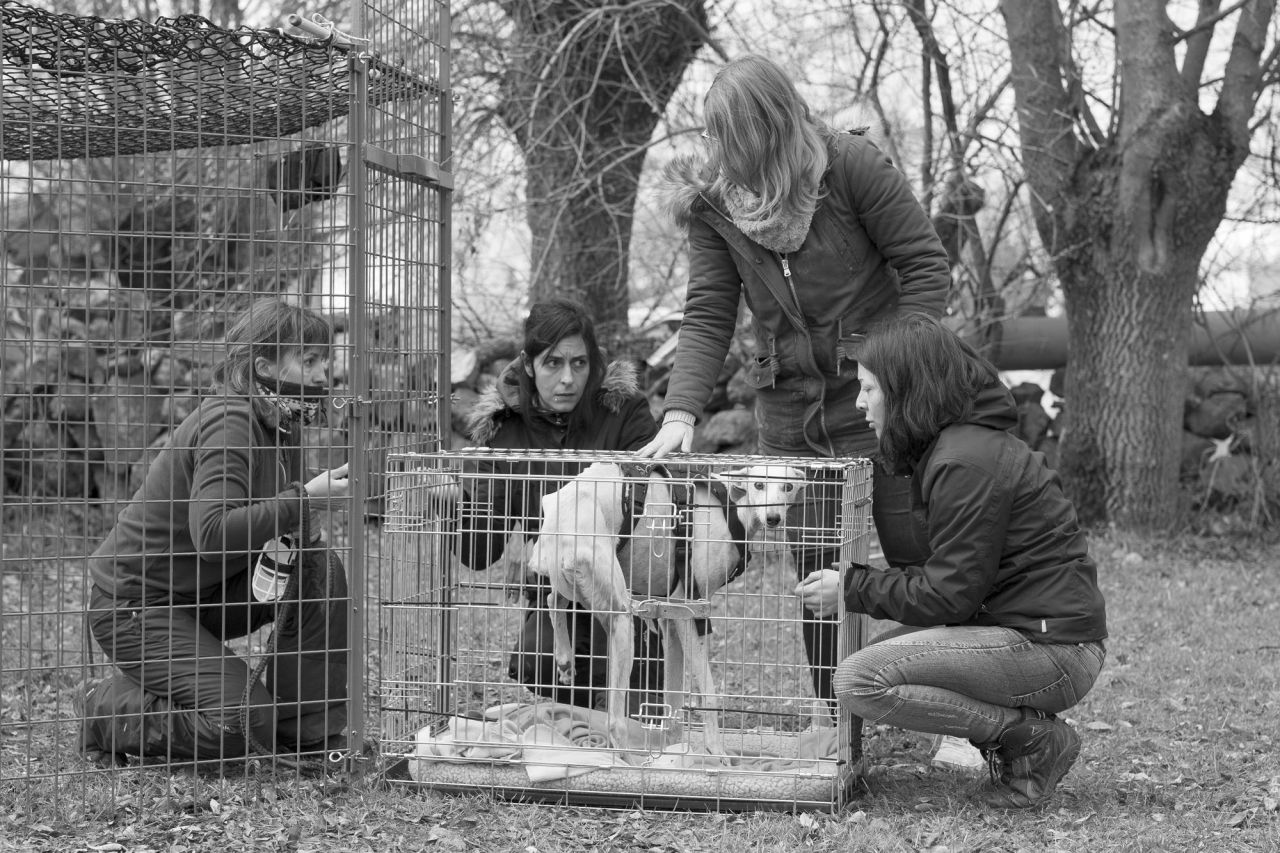 Susana y Katya ayudadas por las personas que no miraron hacia otro lado y dieron el aviso. Siguieron las instrucciones de ERA creando una rutina de comidas para poder llevar a cabo el rescate.