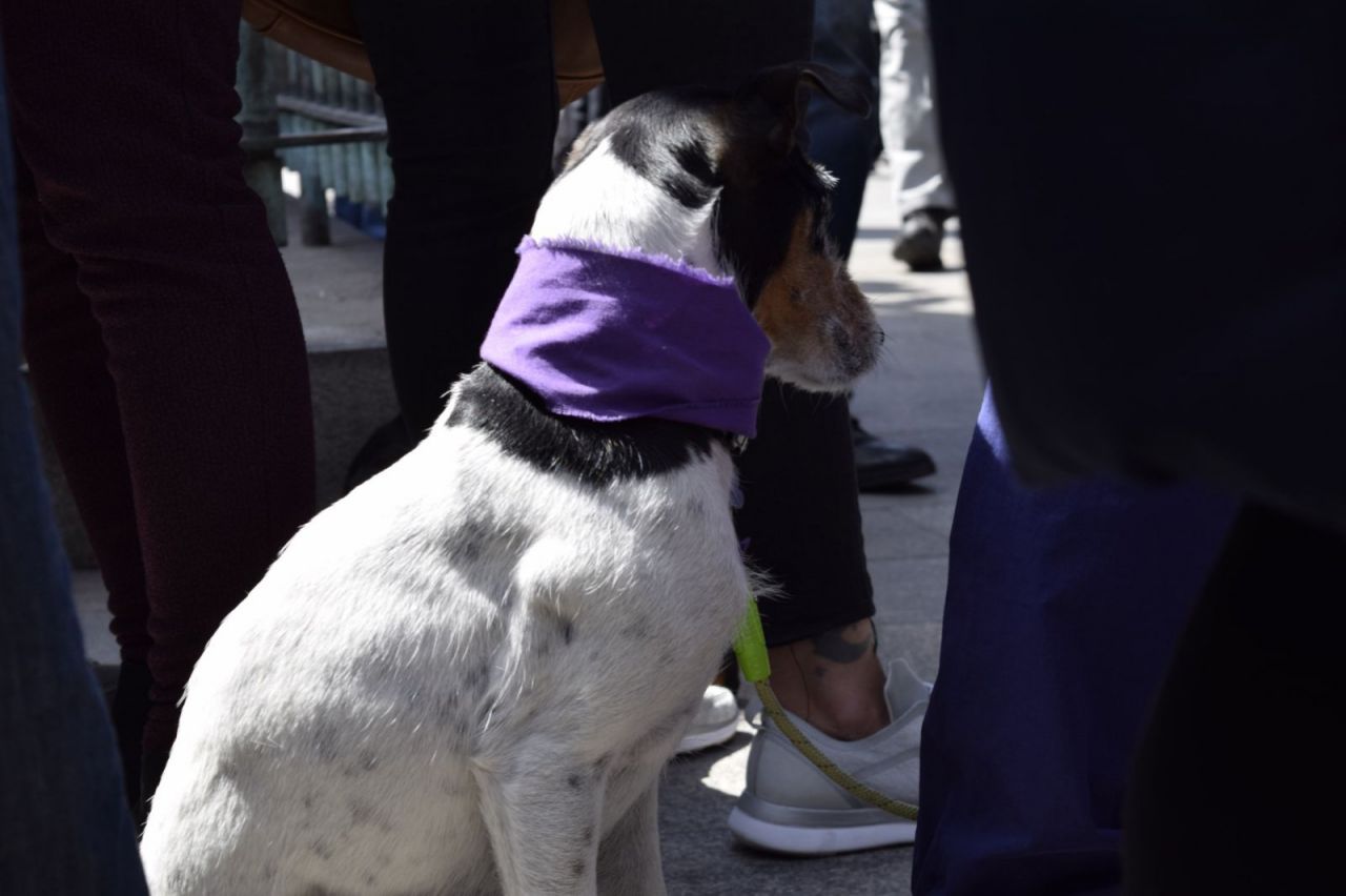 Protesta del colectivo feminista en la celebración del Dos de Mayo en la plaza de Sol.