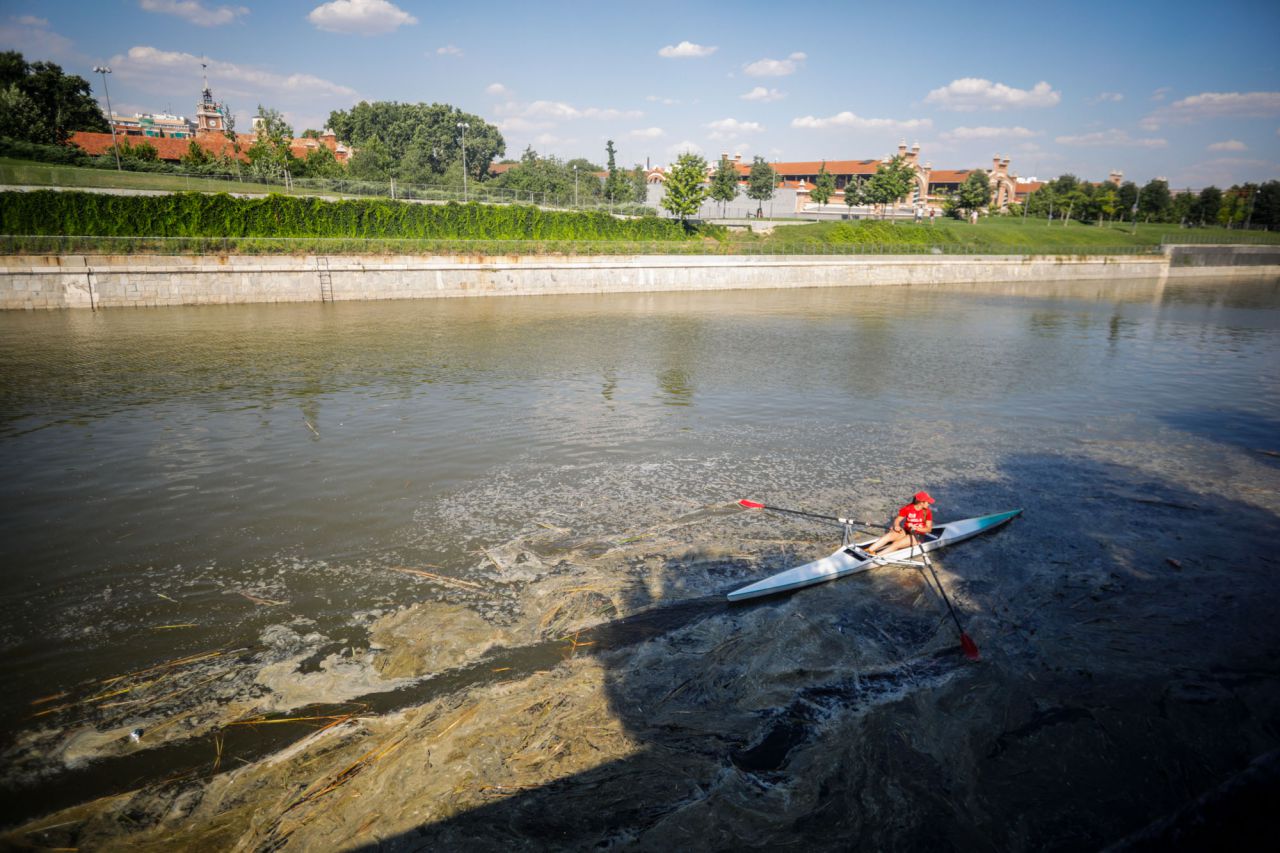 Al haberse embalsado en esta parte del río Manzanares se han empezado a acumular capas de suciedad.