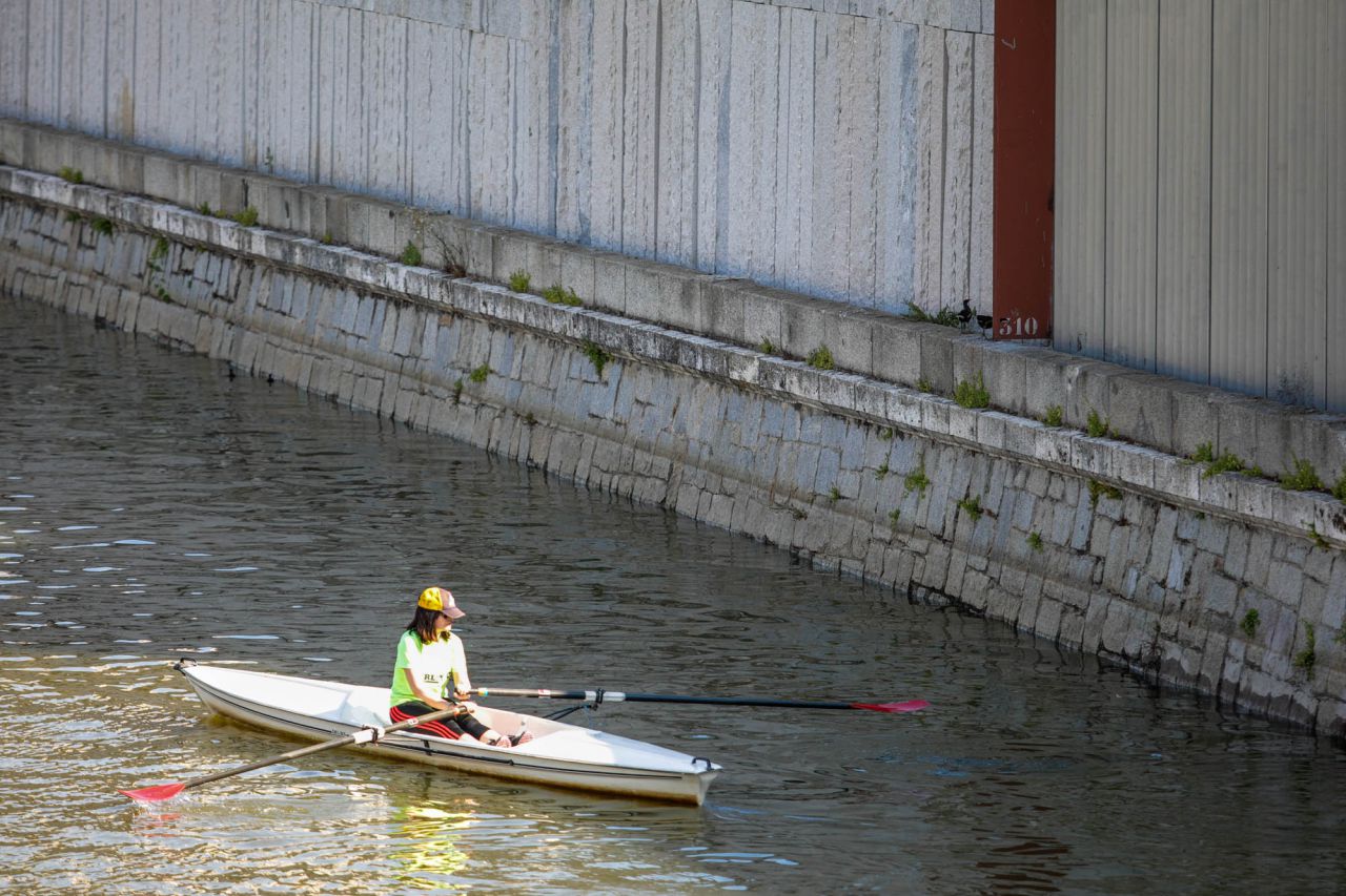 Una persona practica remo junto a la pared del canal de Madrid Río mientras dos gallinetas están posadas en la pared del canal.