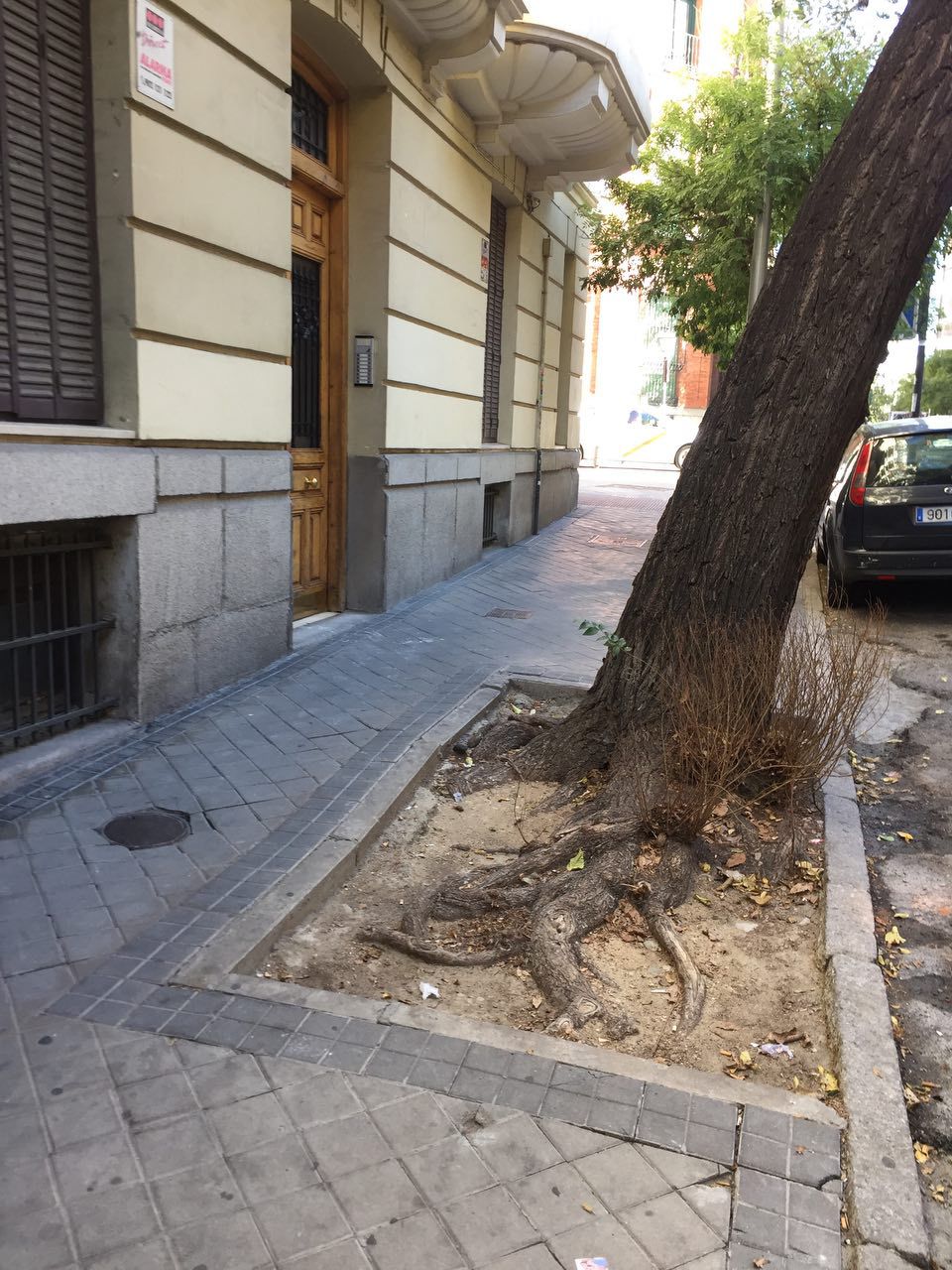 Acera que no cumple el reglamento en calle Nicasio Gallego, 19.