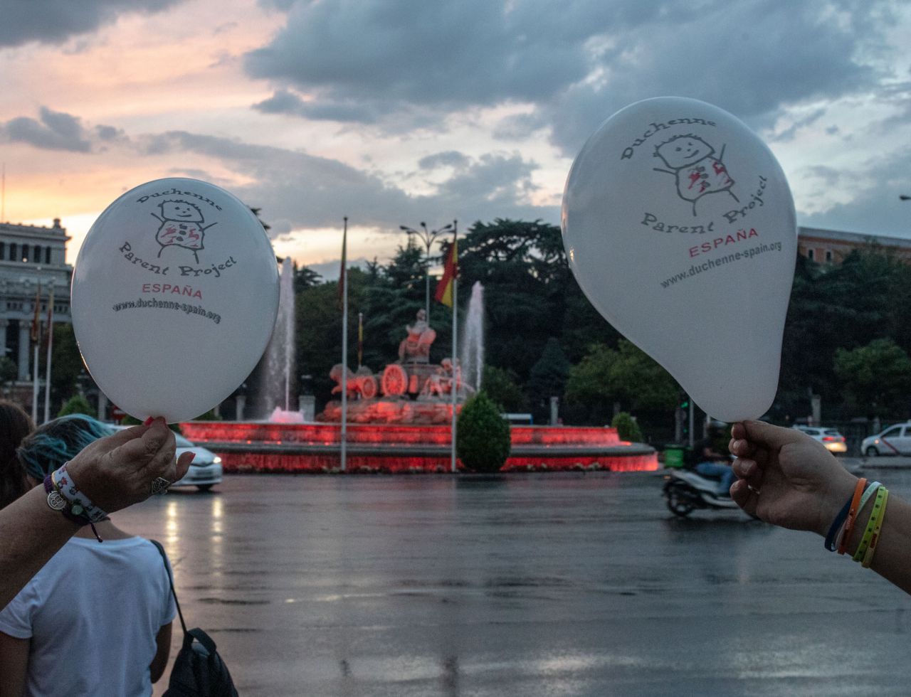 En el mundo 1 de cada 3.500 niños nacen con Distrofia Muscular de Duchenne, una enfermedad neuromuscular degenerativa de origen genético y para concienciar a la población y buscar financiación para la investigación se ha realizado la lectura de un manifiesto por parte del músico Carlos Jean y se ha encendido la fuente de Cibeles con el color rojo.