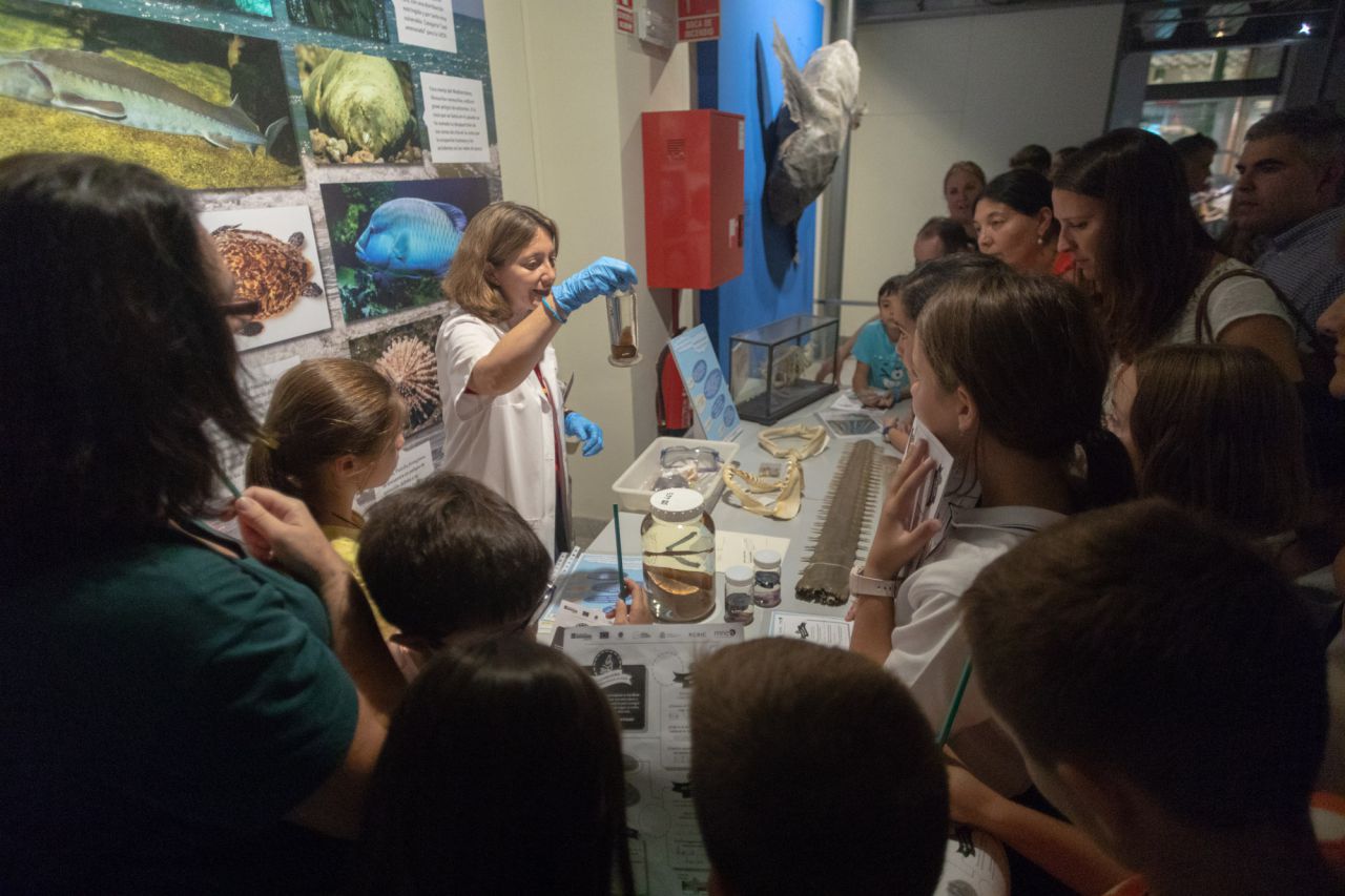 Gymkana en el Museo Nacional de Ciencias Naturales.