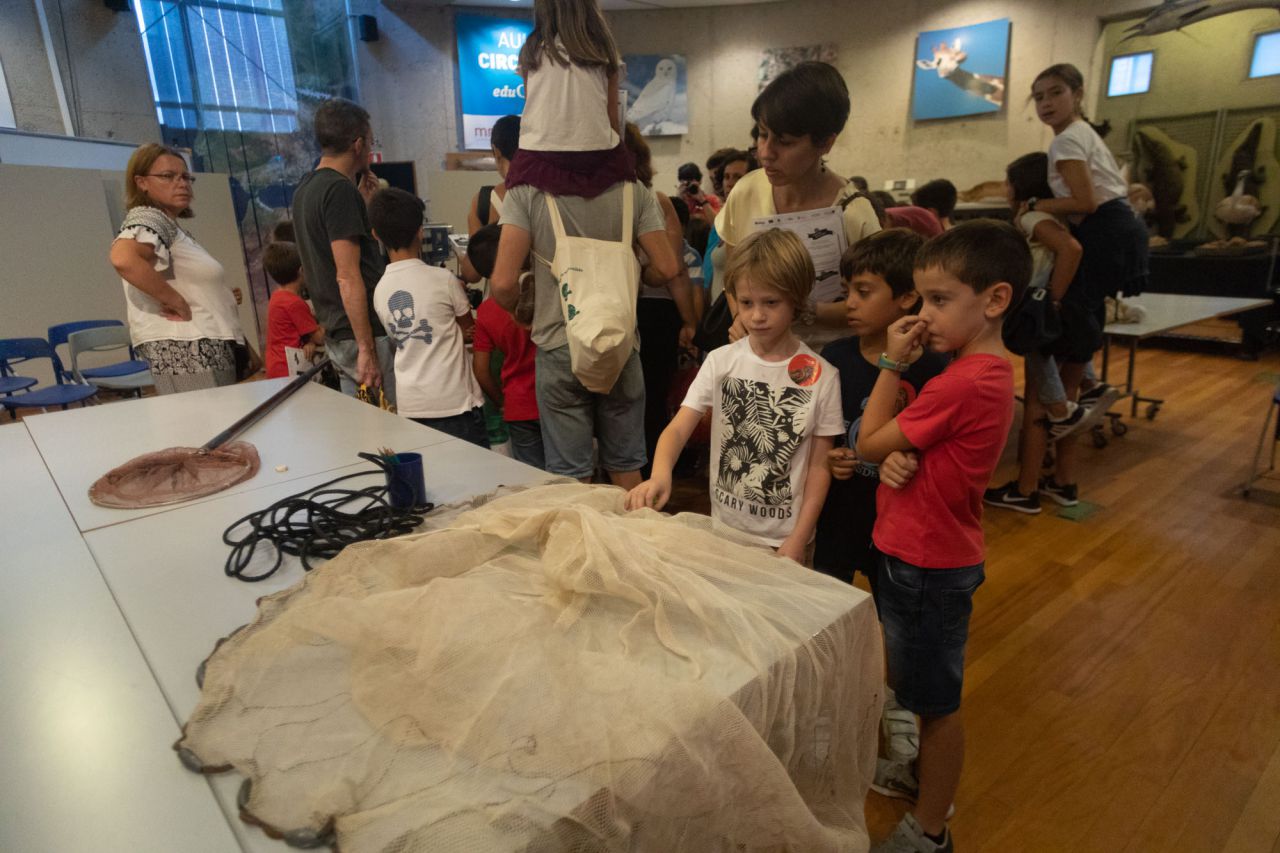 Gymkana en el Museo Nacional de Ciencias Naturales.