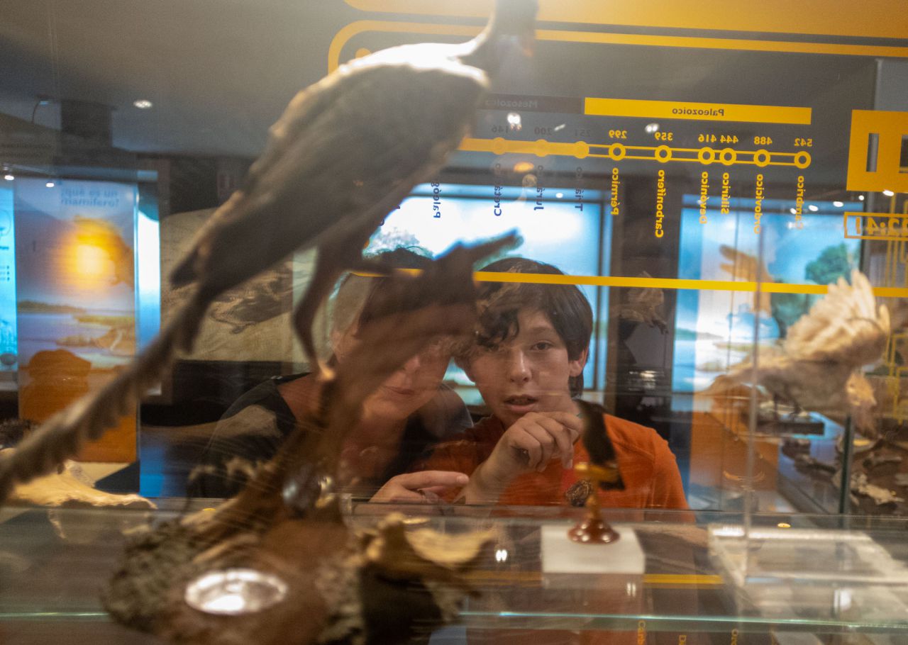 Gymkana en el Museo Nacional de Ciencias Naturales.