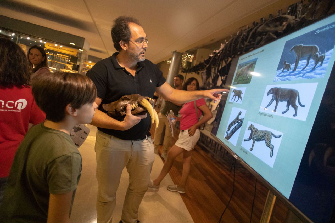 Explicación de un científico que se dedica al estudio del tigre de dientes de sable. En el Museo Nacional de Ciencias Naturales.