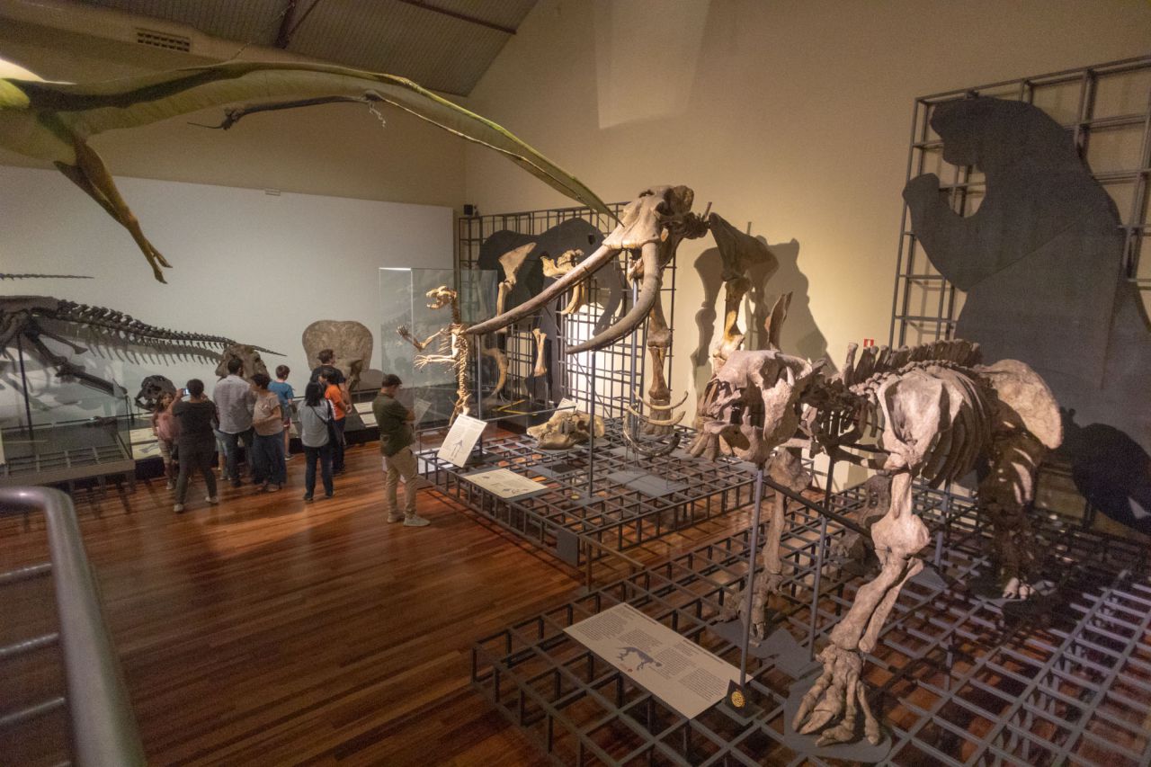 Gymkana en el Museo Nacional de Ciencias Naturales.
