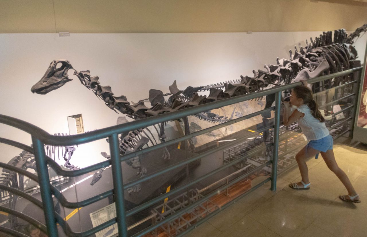 Gymkana en el Museo Nacional de Ciencias Naturales.