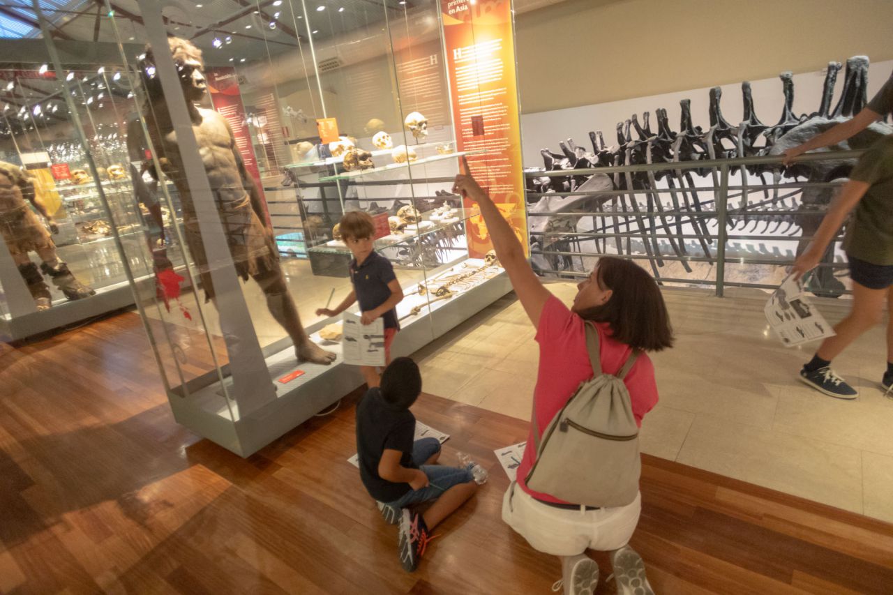 Gymkana en el Museo Nacional de Ciencias Naturales.