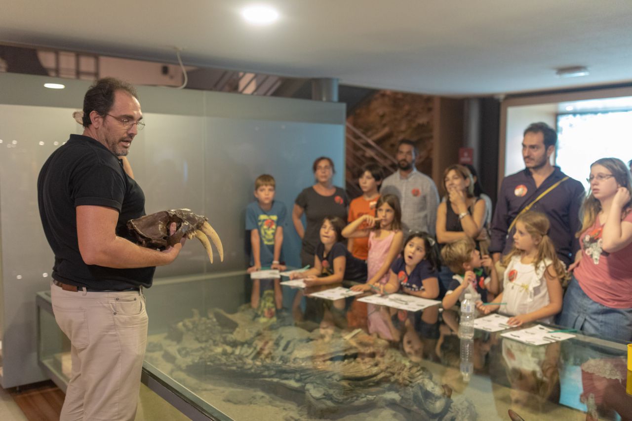 Explicación de un científico que se dedica al estudio del tigre de dientes de sable. En el Museo Nacional de Ciencias Naturales.