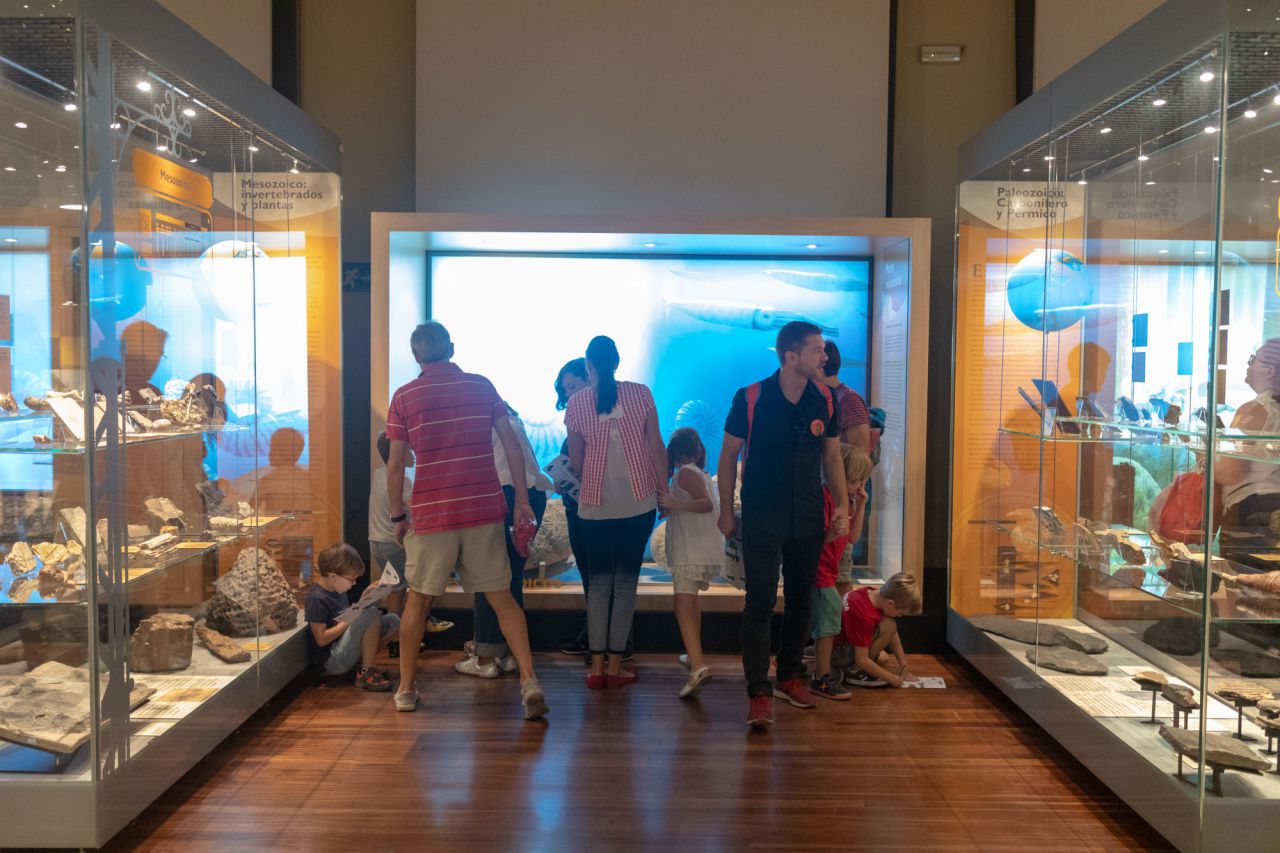 Acampada en el Museo Nacional de Ciencias Naturales.
