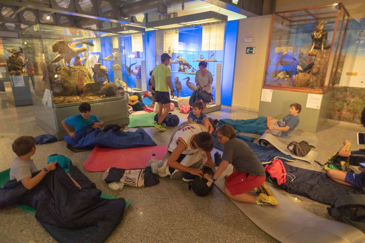 Acampada en el Museo Nacional de Ciencias Naturales.