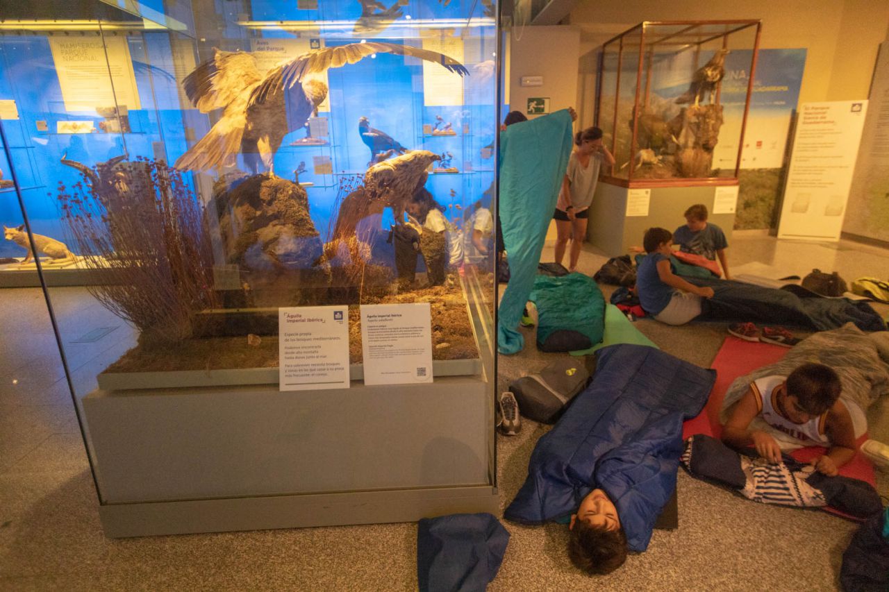 Acampada en el Museo Nacional de Ciencias Naturales.