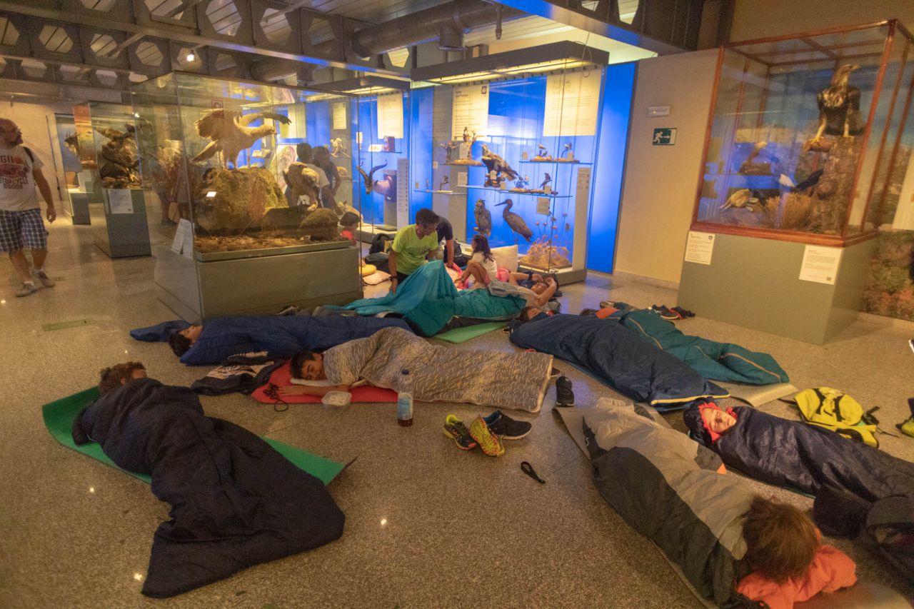 Acampada en el Museo Nacional de Ciencias Naturales.