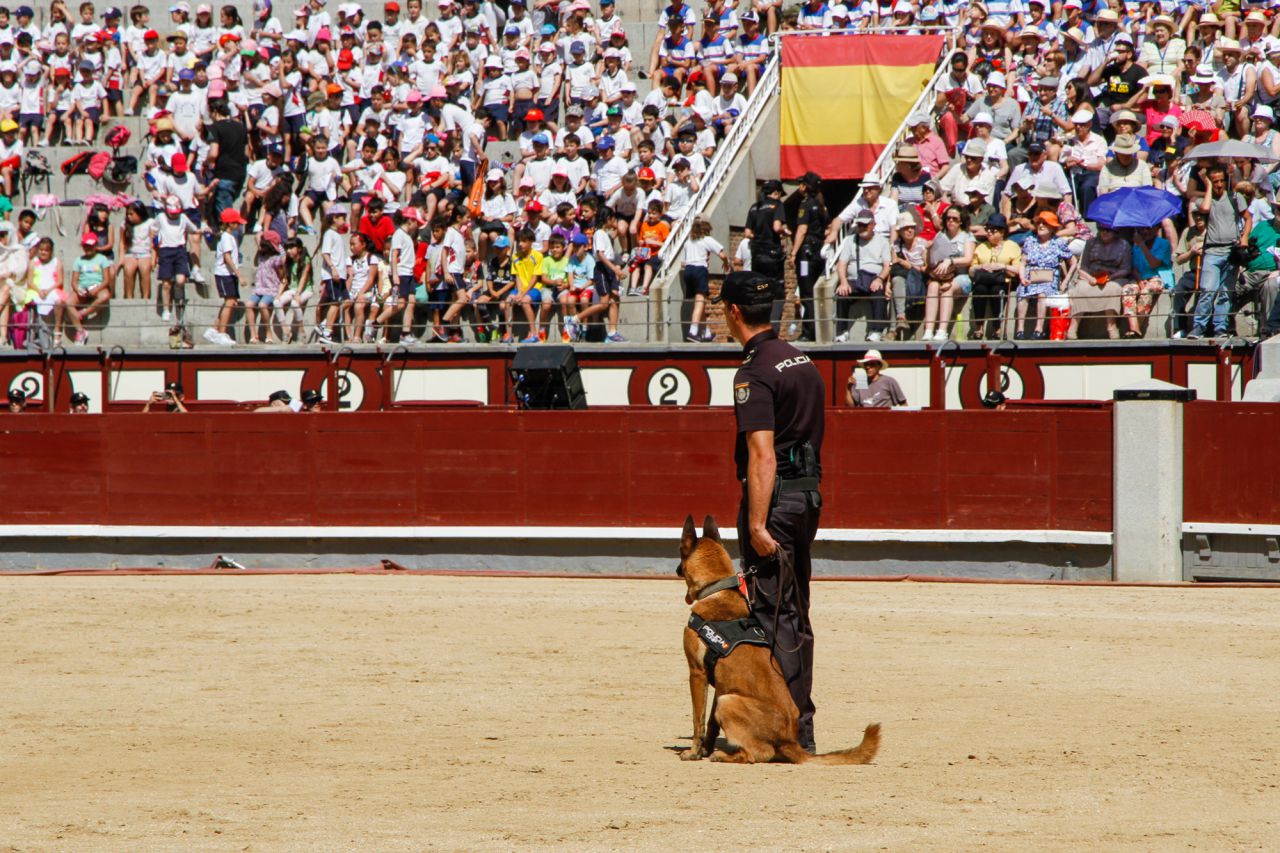 Los perros de la policía nacional.