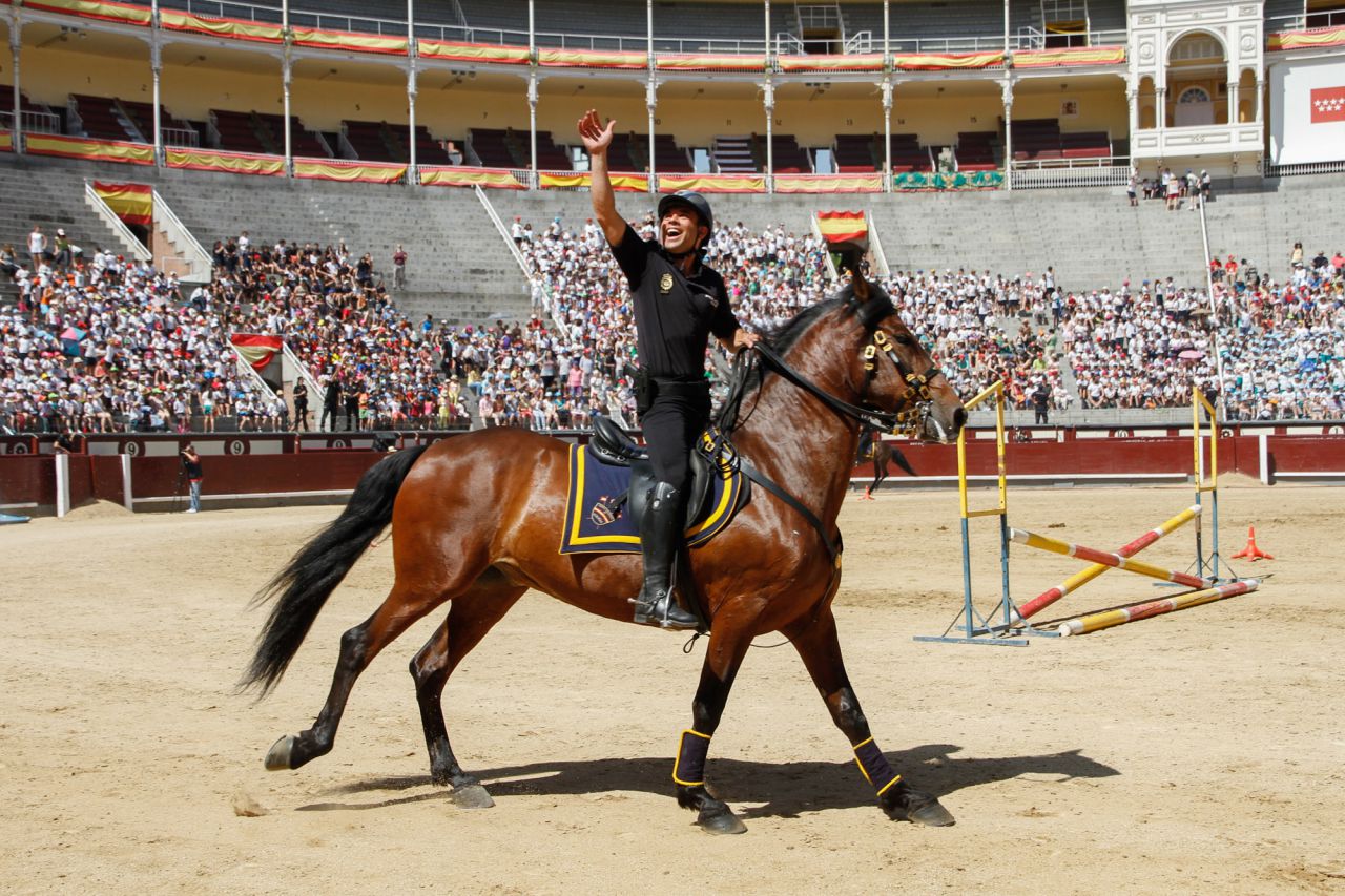 Caballos de la Policía Nacional.