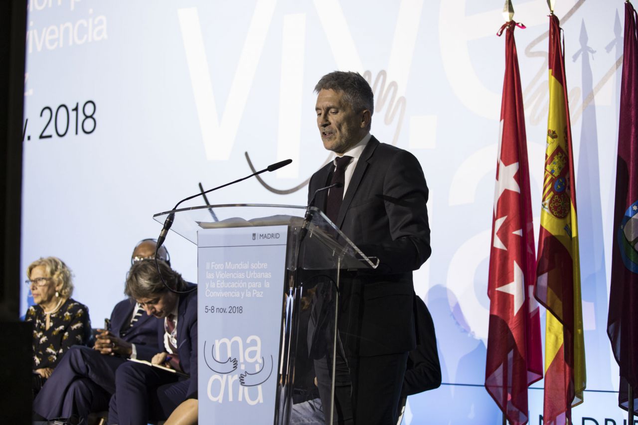 Fernando Grande-Marlaska, Ministro del Interior