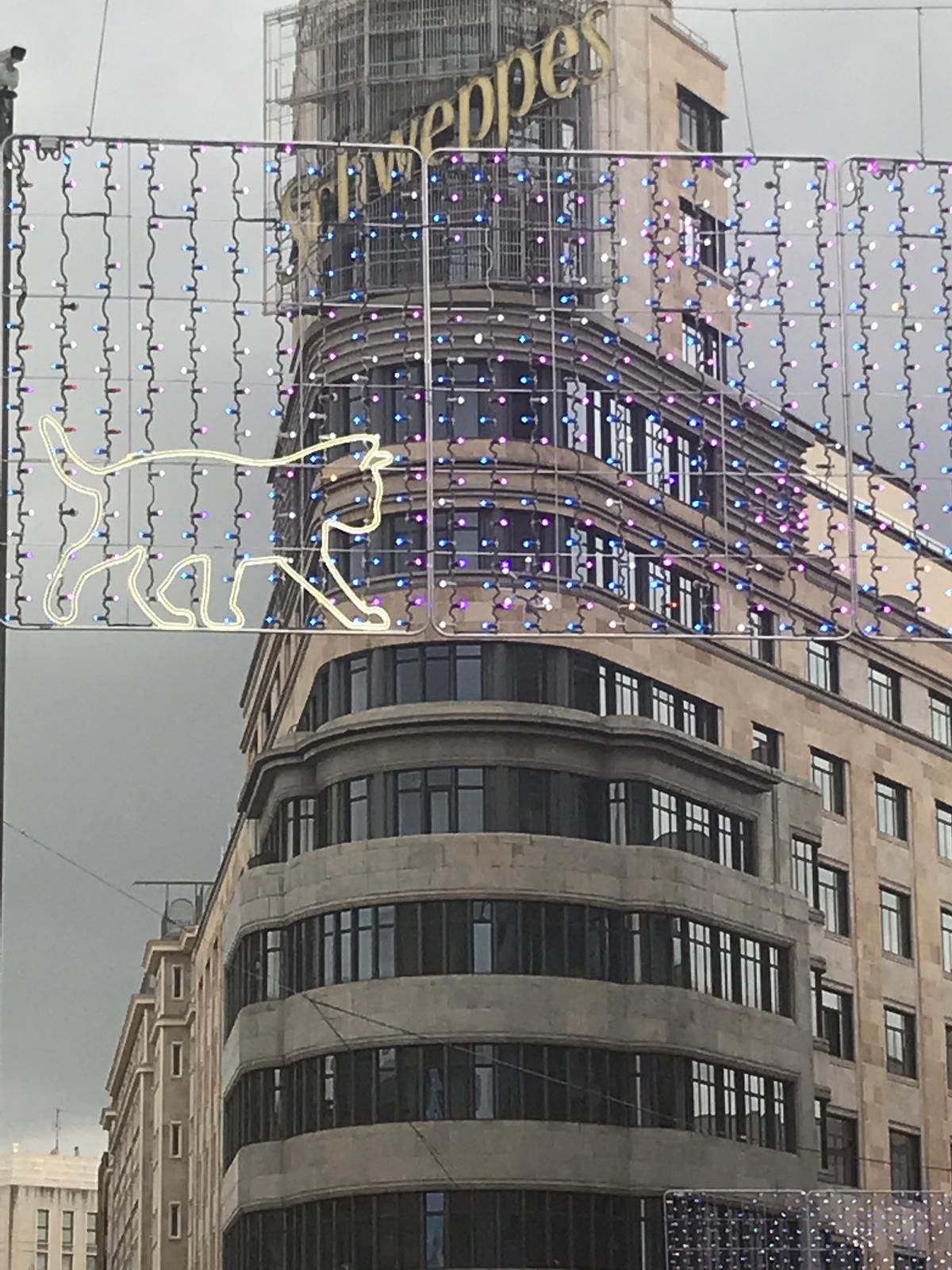 Los gatos son los protagonistas este año en el alumbrado de esta principal arteria de la capital, que hacen referencia y homenaje a las gentes de Madrid.