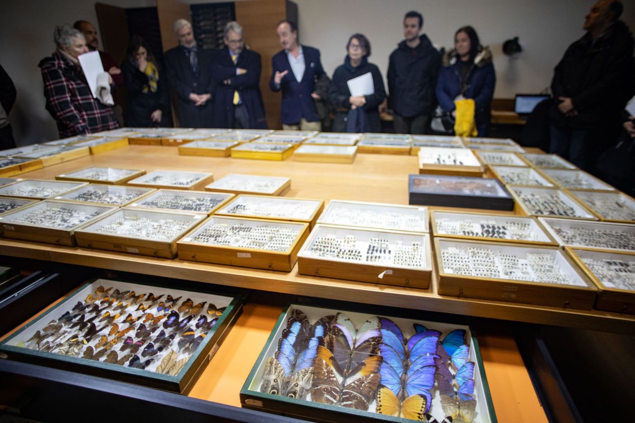 El Ayuntamiento de Madrid ha recibido la donación de la colección de coleópteros y mariposas del entomólogo Manuel Ortego y ha construido el Centro de Entomología Manuel Ortego junto al lago de la Casa de Campo.