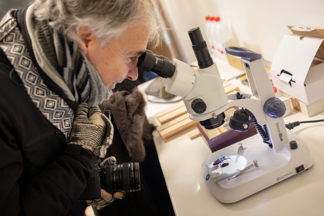 El Ayuntamiento de Madrid ha recibido la donación de la colección de coleópteros y mariposas del entomólogo Manuel Ortego y ha construido el Centro de Entomología Manuel Ortego junto al lago de la Casa de Campo.