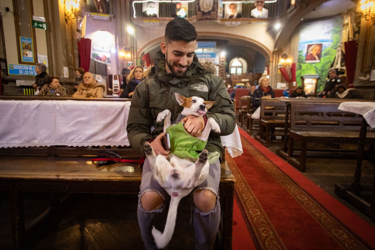 Como cada 17 de enero para celebrar al patrón de los animales, San Antonio Abad, se han congragado a las puertas de la iglesia gestionada por el padre Ángel cientos de madrileños con sus mascotas. Este año el pregón ha corrido a cargo de Eva Amaral y en el mismo ha estado presente la alcaldesa de Madrid, Manuela Carmena.