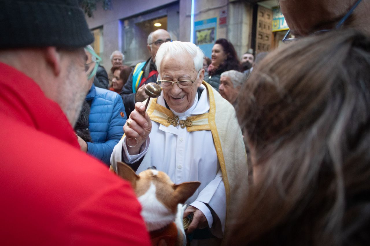 Como cada 17 de enero para celebrar al patrón de los animales, San Antonio Abad, se han congragado a las puertas de la iglesia gestionada por el padre Ángel cientos de madrileños con sus mascotas. Este año el pregón ha corrido a cargo de Eva Amaral y en el mismo ha estado presente la alcaldesa de Madrid, Manuela Carmena.