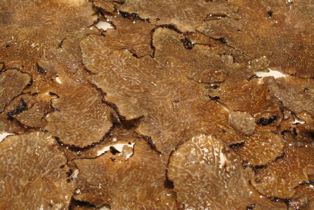 Carpaccio de trufa negra.