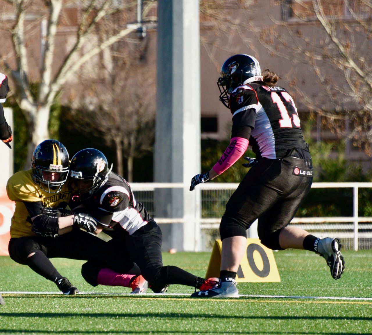 LG OLED Black Demons Las Rozas vs Hornets Zaragoza.
