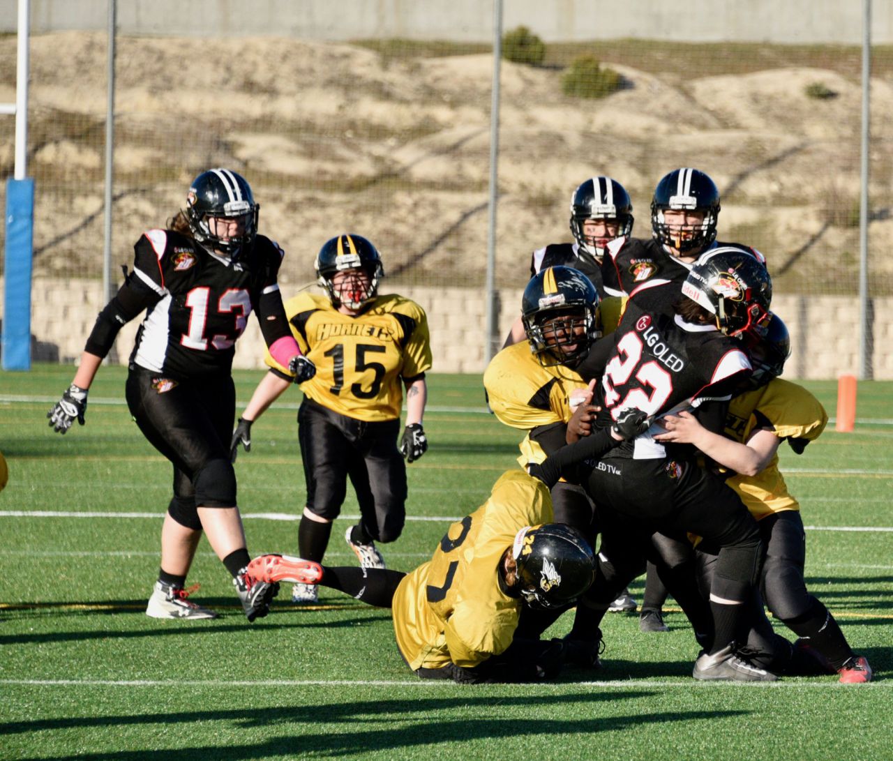LG OLED Black Demons Las Rozas vs Hornets Zaragoza.