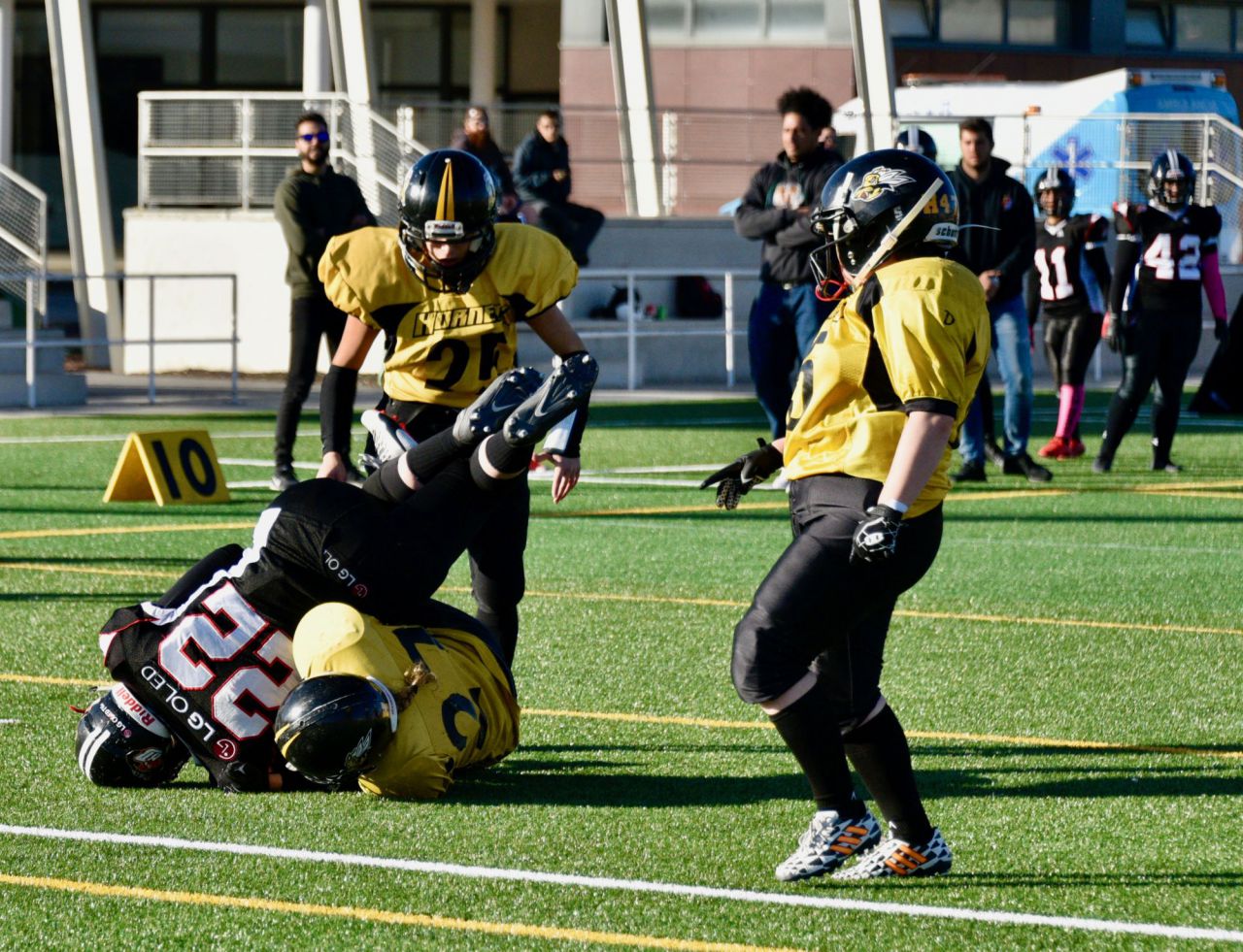 LG OLED Black Demons Las Rozas vs Hornets Zaragoza.
