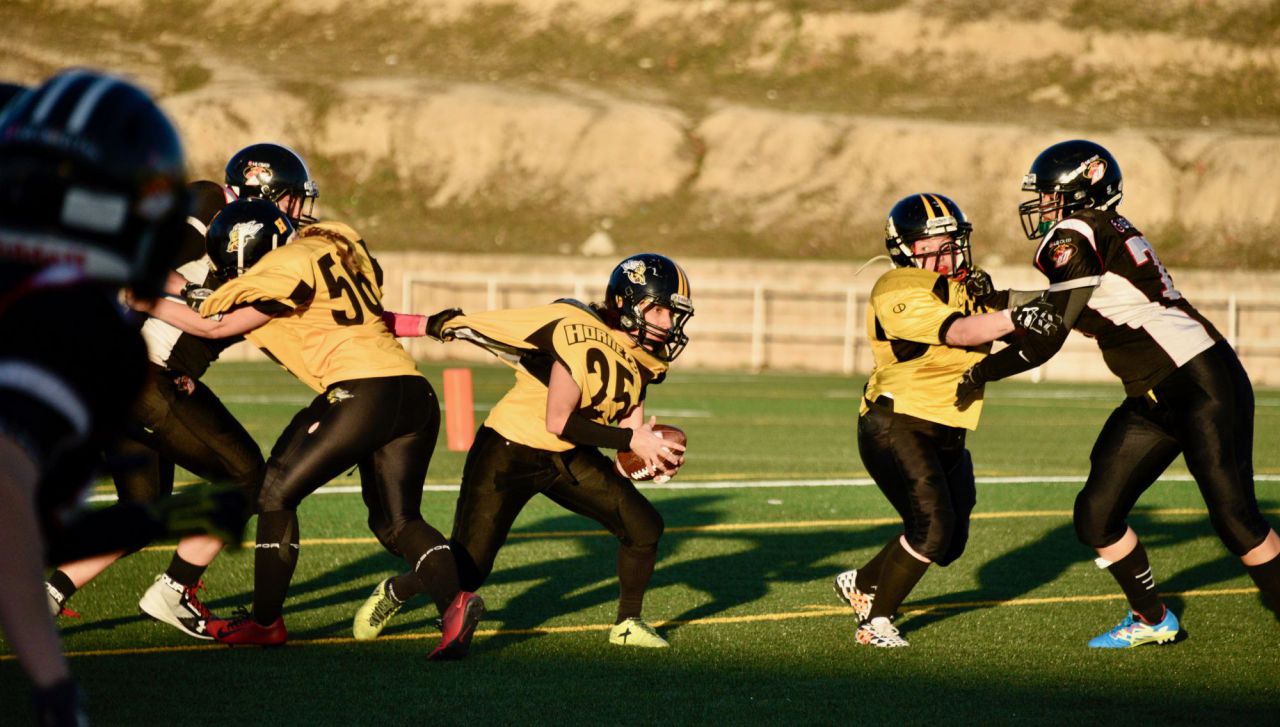 LG OLED Black Demons Las Rozas vs Hornets Zaragoza.